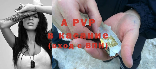 крисы Новодвинск