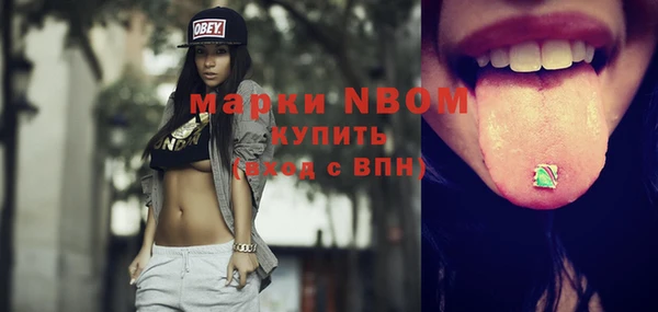 крисы Новодвинск