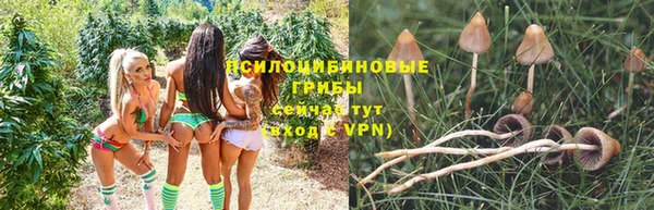 гашишное масло Новокубанск