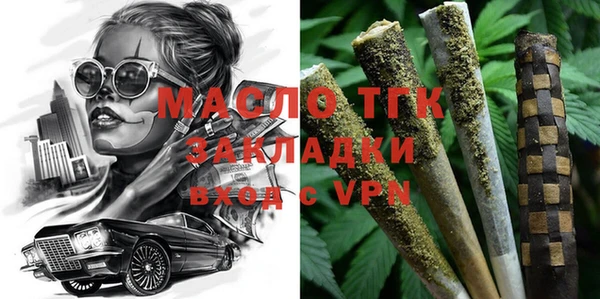 крисы Новодвинск
