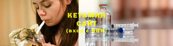 крисы Новодвинск