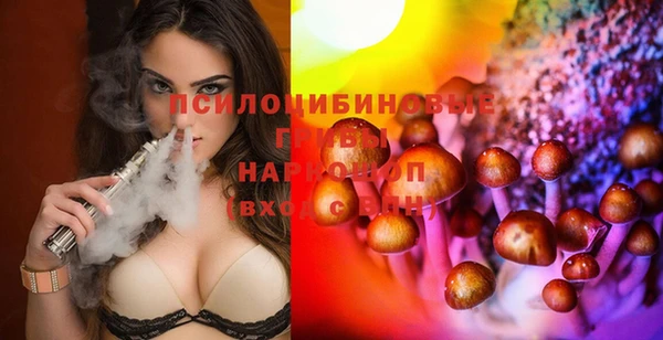 прущий лед Няндома
